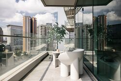 The Light @ Cairnhill (D9), Condominium #541165031